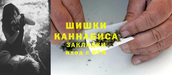 ПСИЛОЦИБИНОВЫЕ ГРИБЫ Баксан