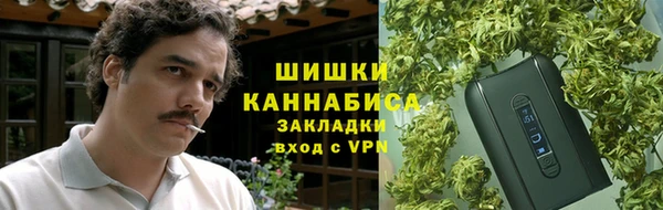 ПСИЛОЦИБИНОВЫЕ ГРИБЫ Баксан
