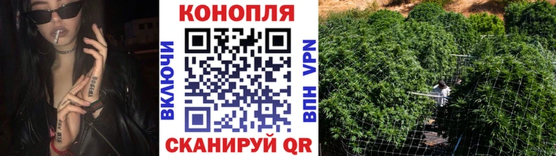 где продают   Бор  Конопля ГИДРОПОН 